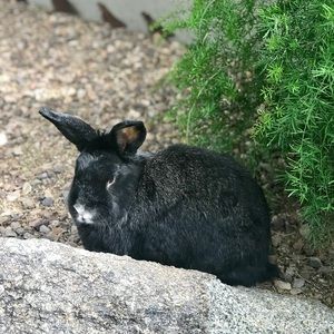 Meet your Posher, Valerie